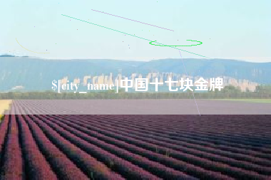 广安中国十七块金牌