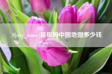 广安新版的中国地图多少钱