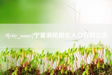 广安宁夏消防报名入口官网公告
