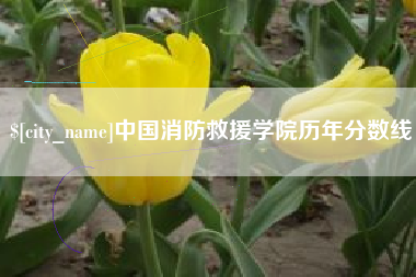 广安中国消防救援学院历年分数线
