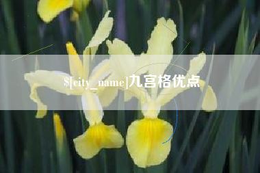 广安九宫格优点