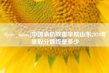 广安中国消防救援学院山东2020年录取分数线是多少