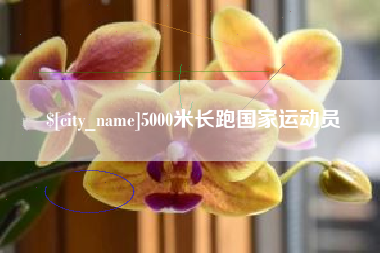 广安5000米长跑国家运动员