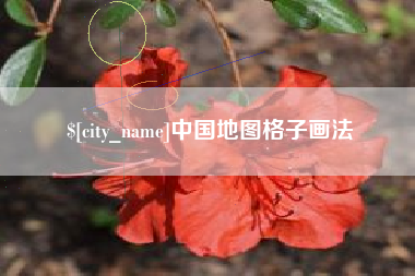 广安中国地图格子画法
