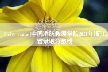 广安中国消防救援学院2021年浙江省录取分数线
