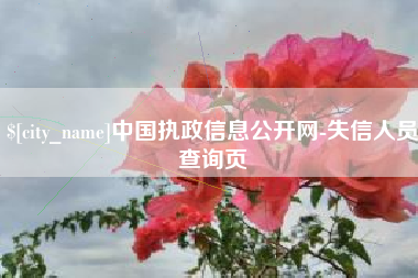 广安中国执政信息公开网-失信人员查询页
