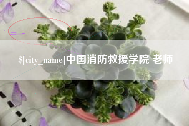 广安中国消防救援学院 老师