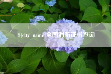 广安全国消防证书查询