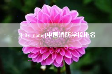 广安中国消防学校排名