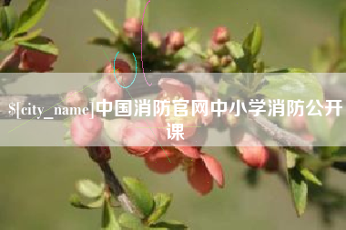 广安中国消防官网中小学消防公开课