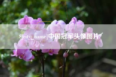 广安中国冠军头像图片