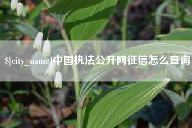 广安中国执法公开网征信怎么查询