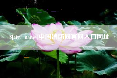 广安中国消防网官网入口网址