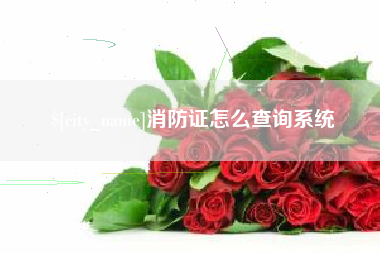 广安消防证怎么查询系统