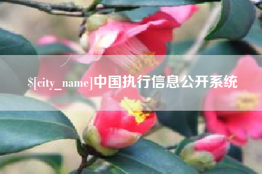 广安中国执行信息公开系统