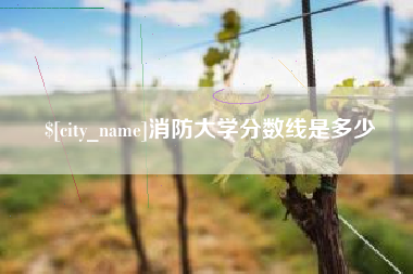 广安消防大学分数线是多少