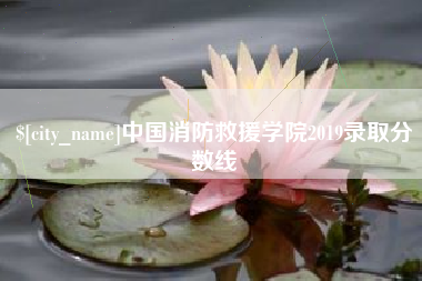 广安中国消防救援学院2019录取分数线