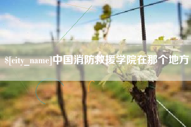 广安中国消防救援学院在那个地方