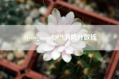 广安2021消防分数线