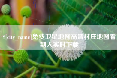广安免费卫星地图高清村庄地图看到人实时下载