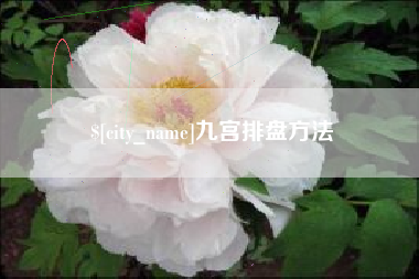 广安九宫排盘方法