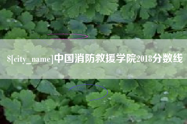 广安中国消防救援学院2018分数线