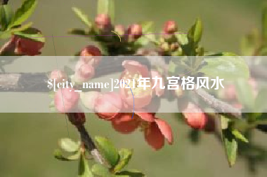 广安2021年九宫格风水