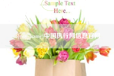 广安中国执行网信息官网