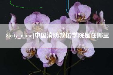 广安中国消防救援学院是在哪里