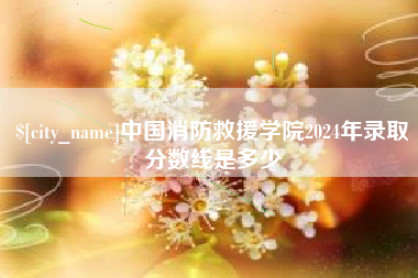 广安中国消防救援学院2024年录取分数线是多少