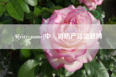广安中囯消防产品信息网