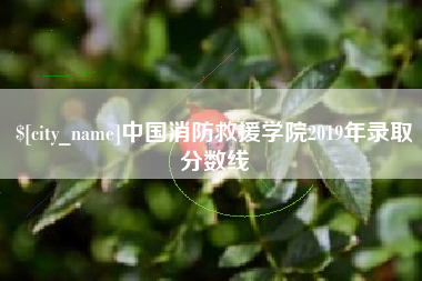 广安中国消防救援学院2019年录取分数线