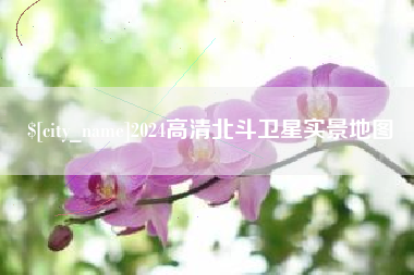 广安2024高清北斗卫星实景地图