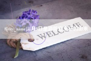 广安11月9日是消防安全日的由来