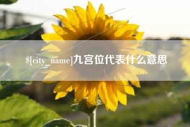 广安九宫位代表什么意思