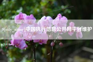 广安中国执行信息公开网平台维护