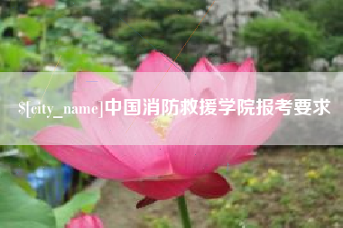 广安中国消防救援学院报考要求