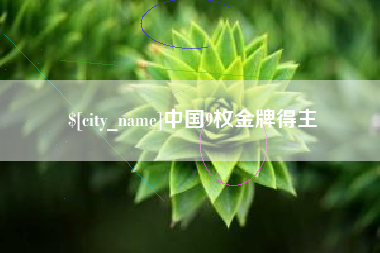 广安中国9枚金牌得主
