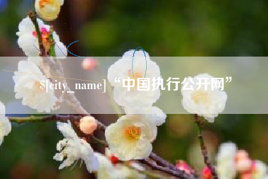 广安“中国执行公开网”