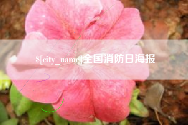 广安全国消防日海报