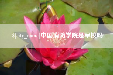 广安中国消防学院是军校吗