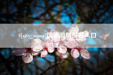 广安国家消防报名入口