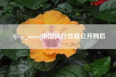广安中国执行信息公开网后