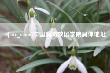 广安中国消防救援学院具体地址