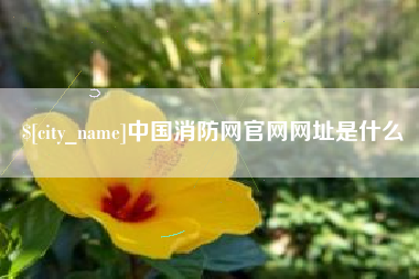 广安中国消防网官网网址是什么