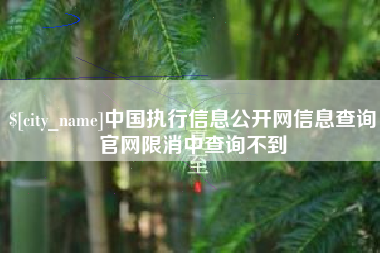 广安中国执行信息公开网信息查询官网限消中查询不到