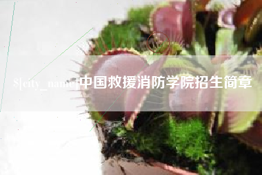 广安中国救援消防学院招生简章