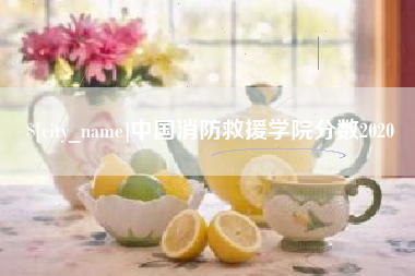 广安中国消防救援学院分数2020