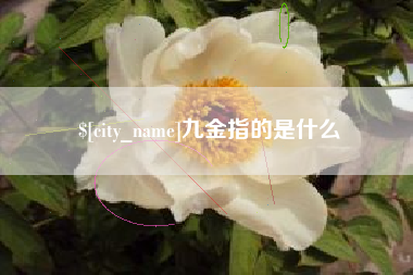 广安九金指的是什么