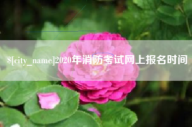 广安2020年消防考试网上报名时间